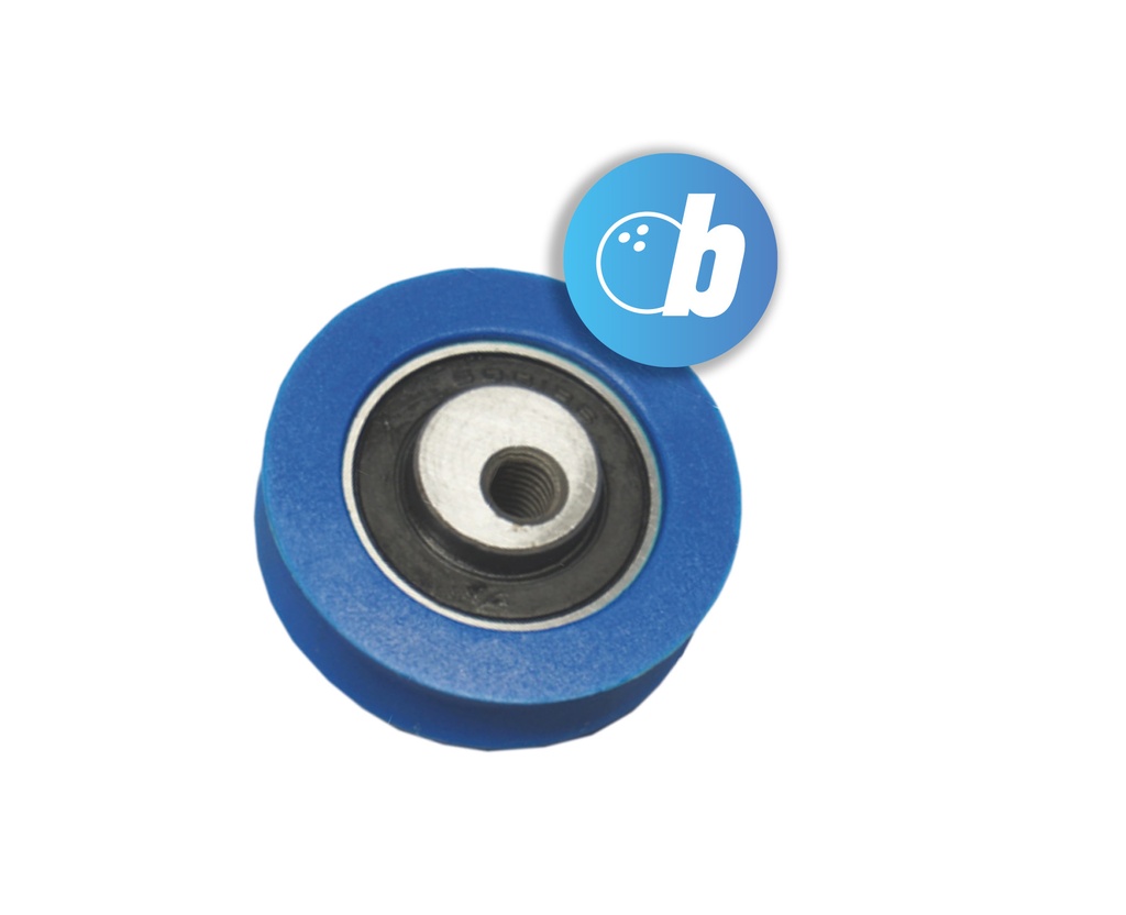 Eccentric Bearing