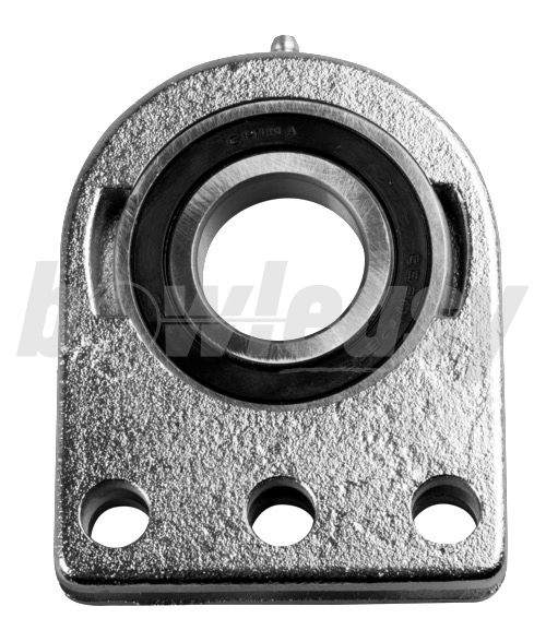 Kegel Bearing & Housing Assy