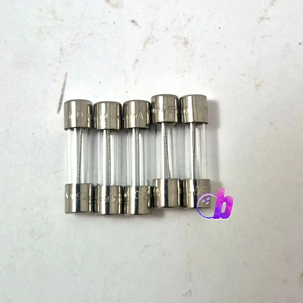 Pkg Fuses 250V, 5A Glass SLO BBLO (Bag Of 5)