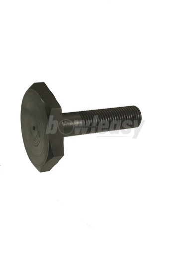 [070-001-843] Eccentric Bolt