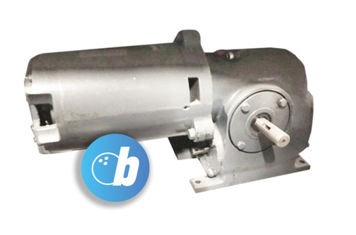 [070-006-219-110V] BE Motor and Gearbox  AMF 82/70 LH 110V REBUILD