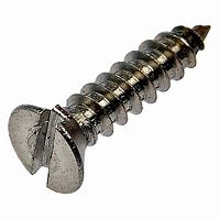 [11-053203-001] Self Tap Screw Pan head Slotted (Bag of 10)