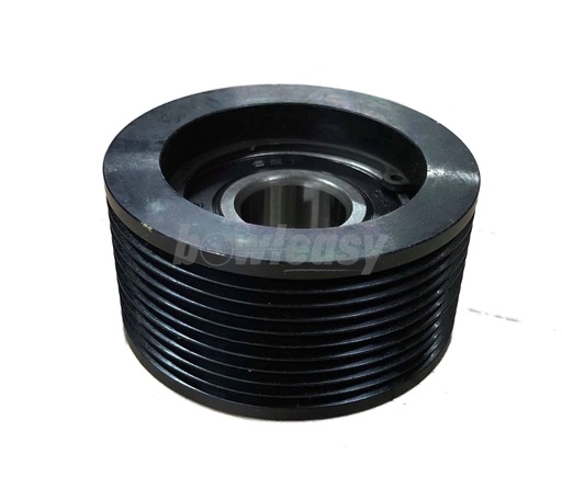 [53-520244-000GS] Poly-V Idler Assembly